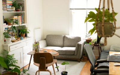 Ways to Rejuvenate Your Home with Eco-Friendly Interiors